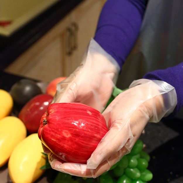 Disposable food buffet PE gloves (2)