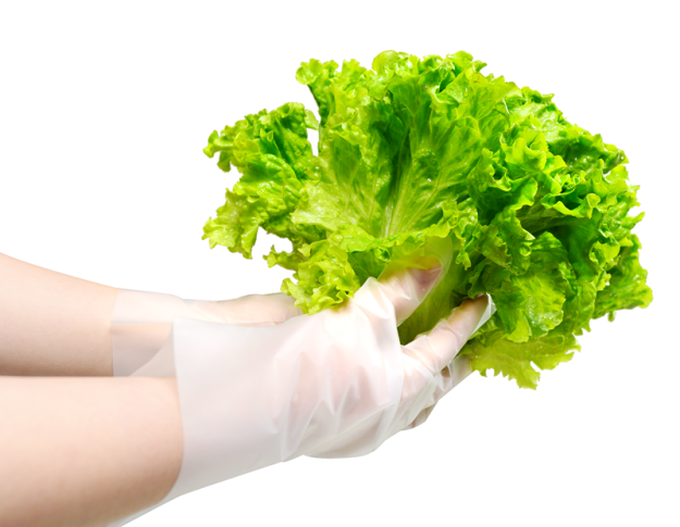 Hygienic kitchen cooking PE gloves (3)