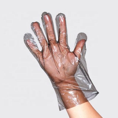 Powder-free PE disposable cooking gloves (2)